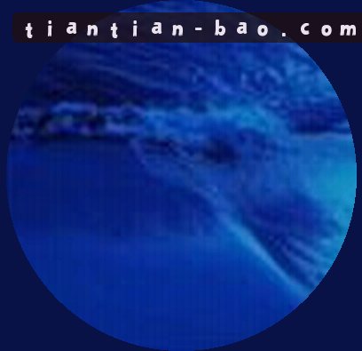 陈浩